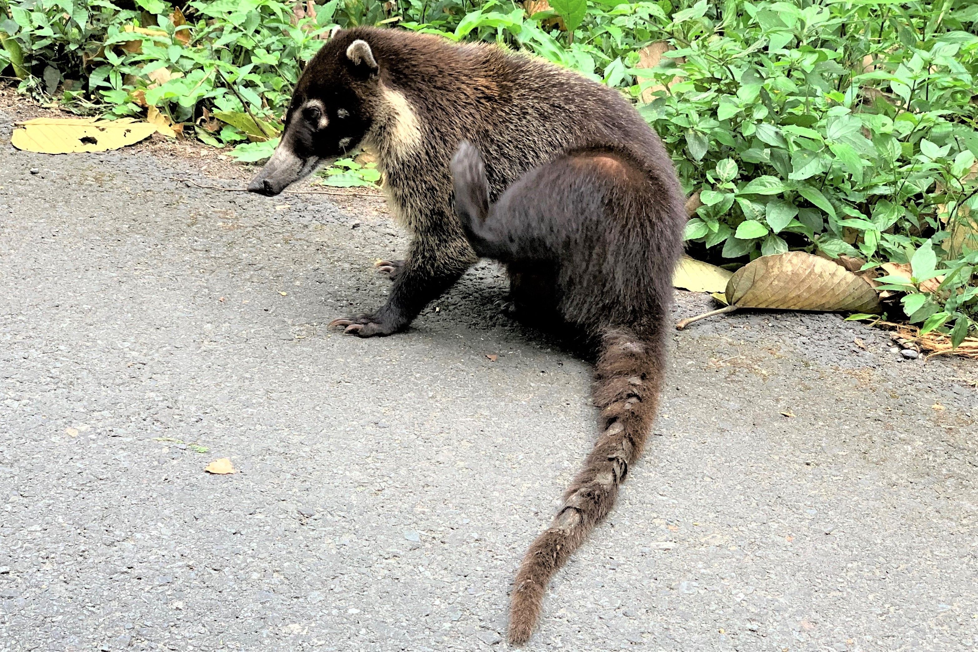 Costa Rica